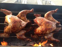 /album/fotogalerie-fotogalerie/img-0204-jpg/